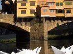 a809211836-arte-performance-regata-di-carta-in-arno-il-2-ottobre