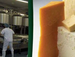 a905192312-latte-ovino-convegno-e-degustazione-a-grosseto