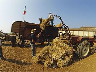 campo-ai-giovani