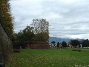 b208261836-lucca-arrestato-latitante-kosovaro