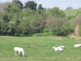 b104142015-a-tavola-con-il-ricettario-degli-studenti-della-valdichiana