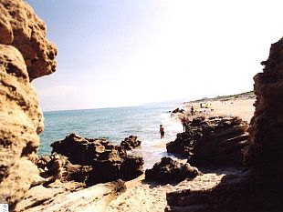 b307312104-famiglia-fiorentina-con-paletta-e-secchiello-fa-disastro-ambientale-in-sardegna