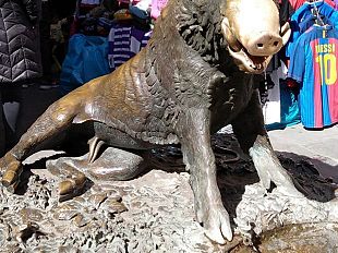 prende-monete-dalla-grata-del-porcellino-colta-sul-fatto