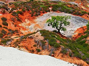 geotermia-lunedi-25-linaugurazione-della-centrale-bagnore-4