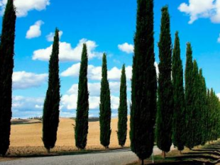 toscana-rinascimento-senza-fine-campagna-promozionale-da-aprile