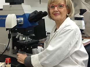 il-lato-buono-dei-microbi