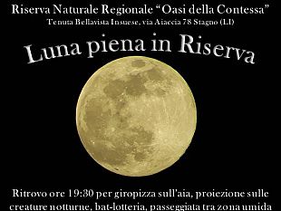 luna-piena-il-2-settembre-si-puo-osservare-in-riserva