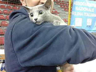 b401252205-1800-appassionati-visitano-un-gatto-per-amico