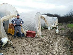 orti-dormitorio-fenomeno-in-espansione-alle-porte-di-firenze