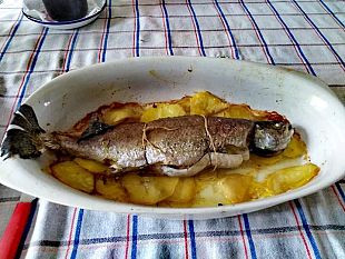 la-pelle-della-trota-iridea-un-tesoro-alimentare