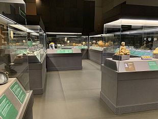riaprono-archeologico-e-museo-di-marco
