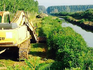 montedoglio-ok-al-muro-scolmatore