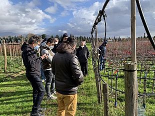gestione-fitosanitaria-senza-chimica-passi-avanti