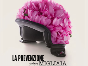 prevenzione-oncologica-tornano-i-ciclamini-ant