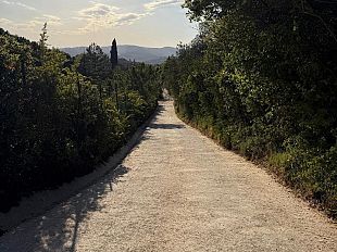 ripristinata-la-pavimentazione-di-via-di-nizzano-con-ecocompatibili