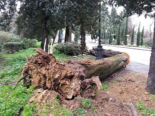 eventi-atmosferici-e-danni-le-possibilita-di-ottenere-un-risarcimento