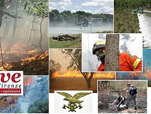 corpo-forestale-pericolo-incendi-cause-danni-e-consigli-utili