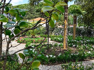 notte-europea-dei-musei-sabato-17-maggio-2025