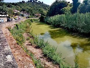 mulino-nuovo-lema-verde-fa-impressione