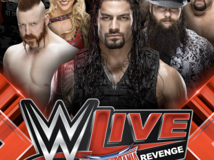 la-wwe-torna-in-italia-con-un-grande-live-show-a-firenze