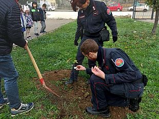 lega-e-m5s-dove-sono-i-nuovi-alberi-in-piazza-edison