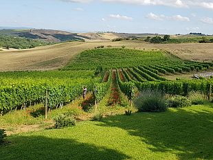 doc-orcia-il-blocco-del-turismo-mette-in-ginocchio-il-vino