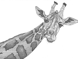 biophilia-opere-di-arianna-fioratti-loreto-al-museo-la-specola