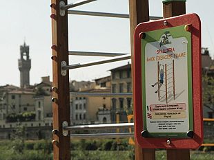 la-preparazione-sportiva-nelle-competizioni-olimpioniche