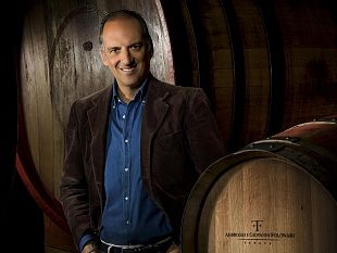 tenuta-campo-al-mare-espressione-perfetta-della-doc-bolgheri