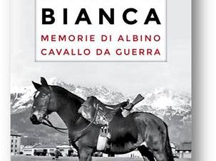 steppa-bianca-memorie-di-albino-cavallo-da-guerra