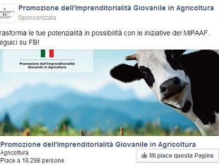 mucca-scappa-e-vinci-curioso-spot-su-facebook