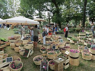 murabilia-2023-a-lucca-una-mostra-mercato-top-del-giardinaggio