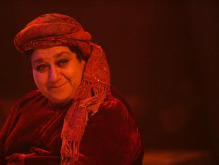 teatro-di-rifredi-lultimo-harem-all11-anno-di-repliche