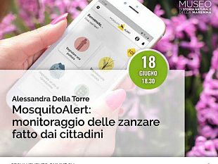 mosquitoalert-monitoraggio-delle-zanzare-fatto-dai-cittadini