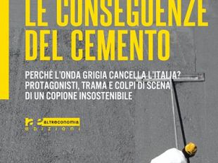 b201292215-le-conseguenze-del-cemento