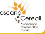 a401081320-la-riforma-della-pac-appena-licenziata-dall-unione-europea-introdurra-a-breve-cambiamenti-radicali-nel-regime-di-erogazione-degli-aiuti-comunitari-per-le-aziende-agricole