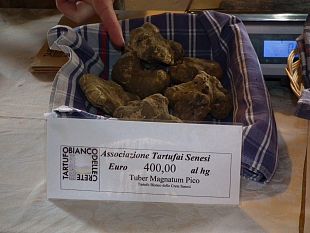 a810151600-crete-d-autunno-2008-venerdi-passerella-per-il-tartufo-all-enoteca-italiana