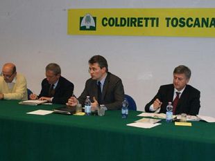 coldiretti-in-agricoltura-50-mila-giovani-attendono-i-voucher