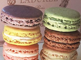 b011251952-pasticceria-laduree-a-firenze