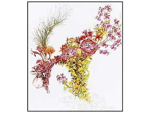 b307120017-matt-collier-le-istruzioni-mediche