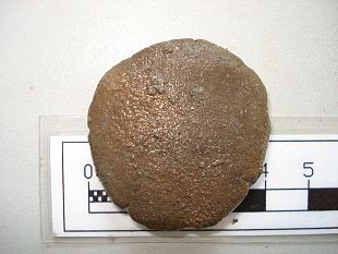 b301101458-un-medicinale-di-piu-di-2000-anni-fa-recuperato-nel-relitto-del-pozzino