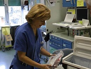 b303192032-sofia-il-giudice-accoglie-il-ricorso-la-piccola-riprendera-la-cura-stamina