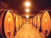 vino-le-cantine-delle-donne-fanno-festa