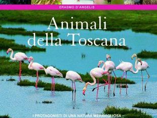 a901291403-la-toscana-e-la-regione-europea-con-la-migliore-biodiversita