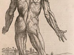 da-giovedi-16-ottobre-al-teatro-rondo-di-bacco-di-palazzo-pitti