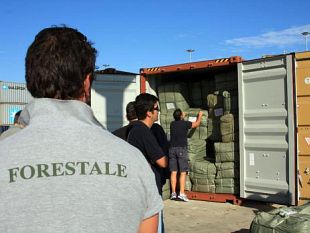 b309171835-tav-arrestato-presidente-del-consorzio-nodavia