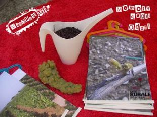 b209180937-speciale-bambini-a-wine-town