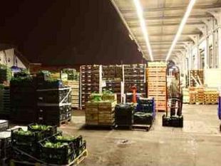 coronavirus-da-stasera-mercafir-misura-la-febbre-a-tutti-quelli-che-entrano