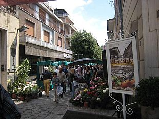 b208081715-il-mercatale-di-chiusi-non-va-in-ferie