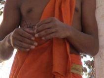 a410281929-l-asia-di-francesca-guicciardini